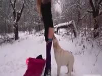 dog creampie act